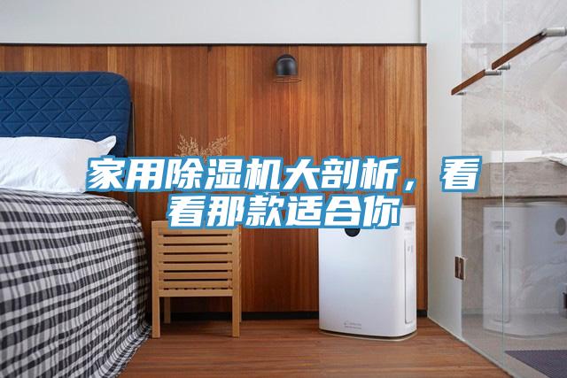 家用除濕機(jī)大剖析，看看那款適合你
