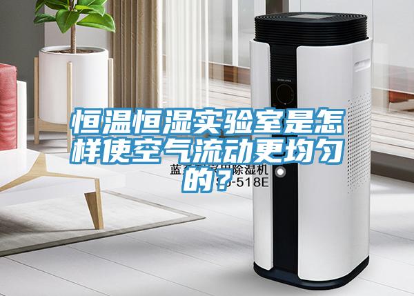 恒溫恒濕實(shí)驗(yàn)室是怎樣使空氣流動(dòng)更均勻的？