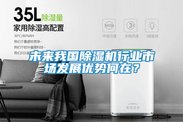 未來我國除濕機(jī)行業(yè)市場發(fā)展優(yōu)勢(shì)何在？