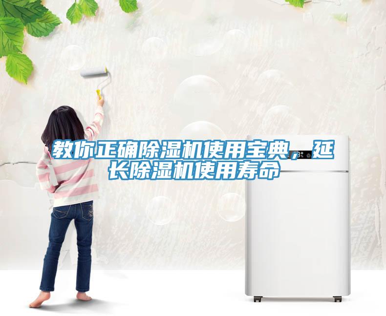 教你正確除濕機使用寶典，延長除濕機使用壽命
