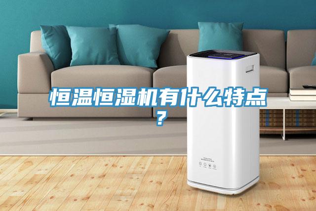 恒溫恒濕機(jī)有什么特點(diǎn)？