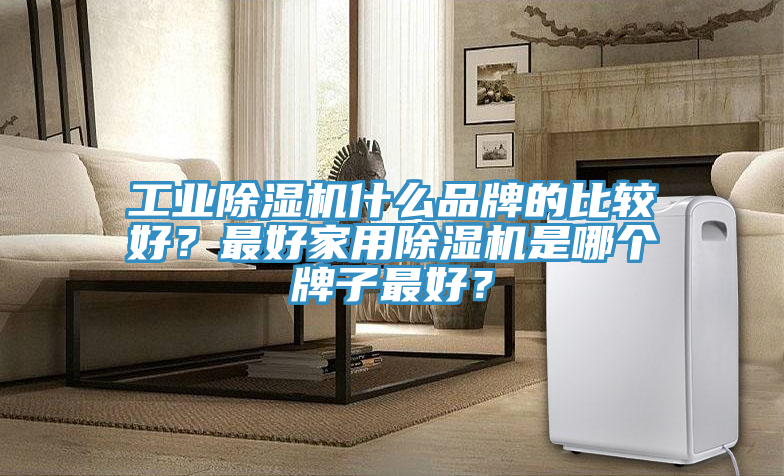 工業(yè)除濕機(jī)什么品牌的比較好？最好家用除濕機(jī)是哪個(gè)牌子最好？