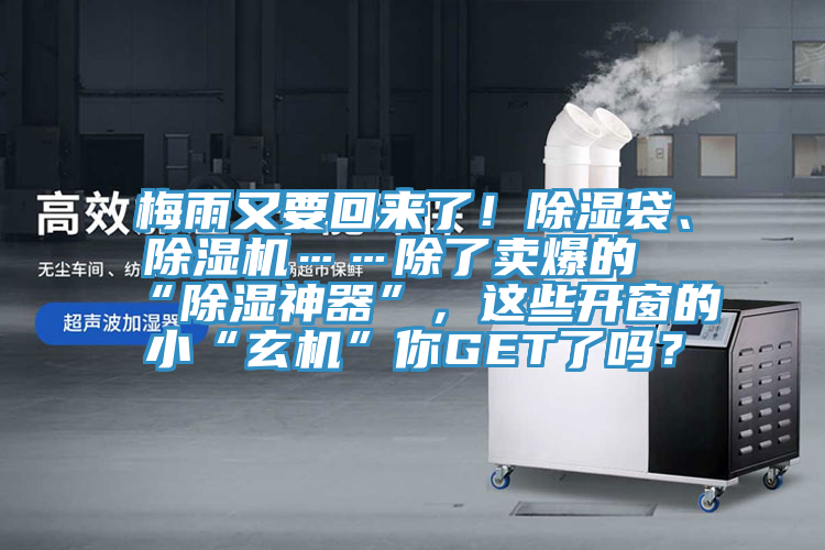 梅雨又要回來了！除濕袋、除濕機……除了賣爆的“除濕神器”，這些開窗的小“玄機”你GET了嗎？