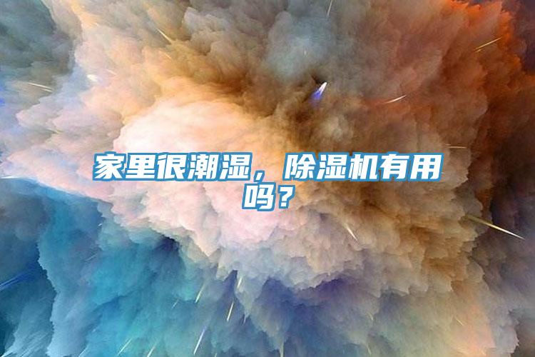 家里很潮濕，除濕機有用嗎？
