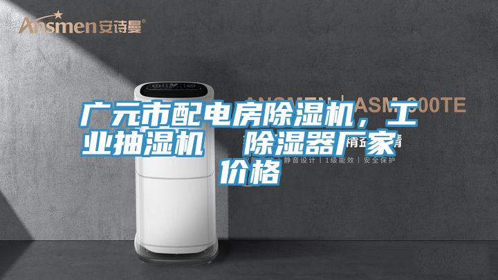 廣元市配電房除濕機(jī)，工業(yè)抽濕機(jī)  除濕器廠家 價格