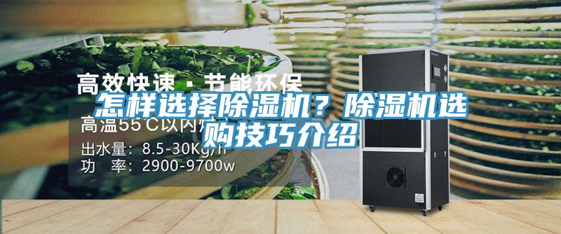 怎樣選擇除濕機？除濕機選購技巧介紹