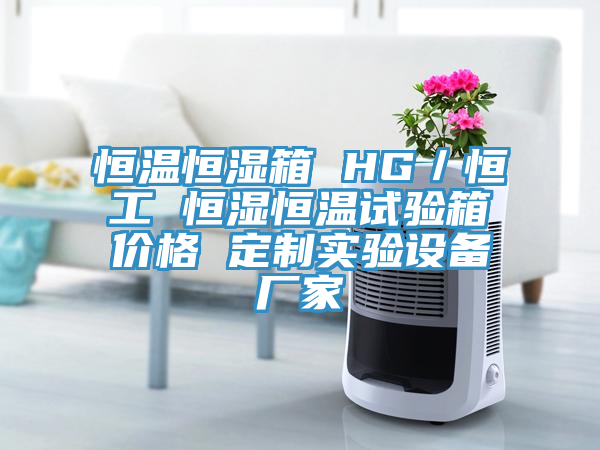 恒溫恒濕箱 HG／恒工 恒濕恒溫試驗(yàn)箱價格 定制實(shí)驗(yàn)設(shè)備廠家
