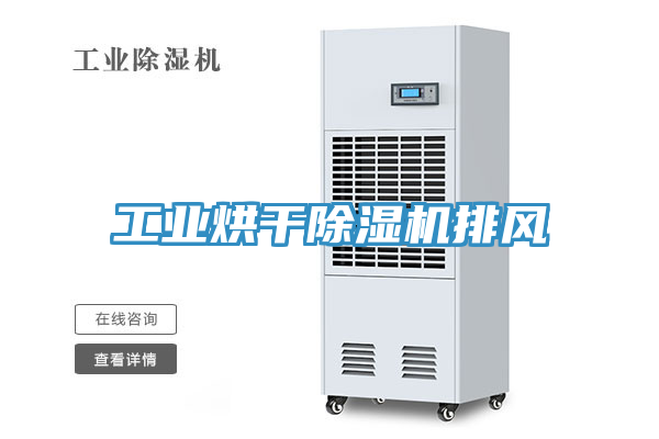工業(yè)烘干除濕機(jī)排風(fēng)