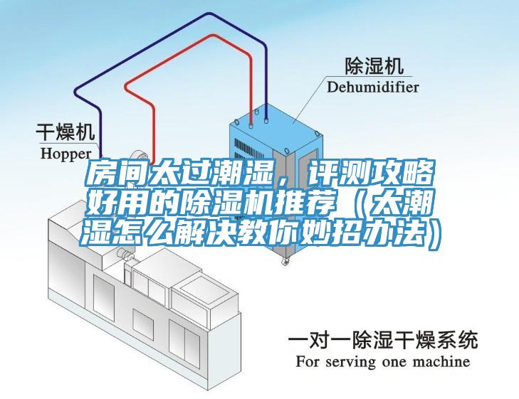 房間太過潮濕，評測攻略好用的除濕機推薦（太潮濕怎么解決教你妙招辦法）