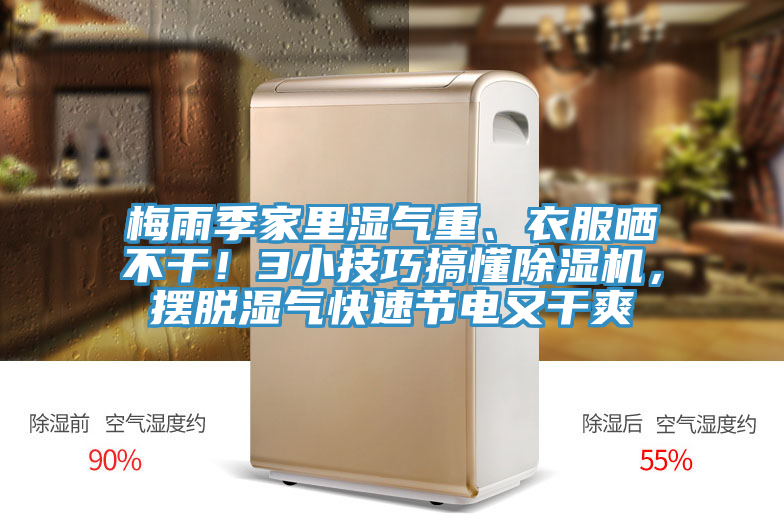 梅雨季家里濕氣重、衣服曬不干！3小技巧搞懂除濕機，擺脫濕氣快速節(jié)電又干爽