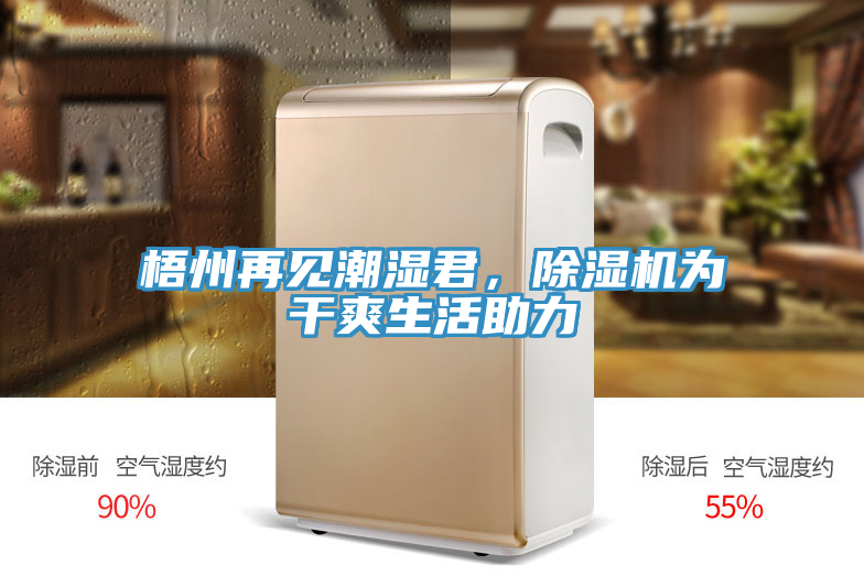 梧州再見潮濕君，除濕機為干爽生活助力