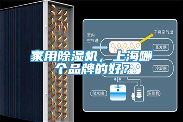 家用除濕機，上海哪個品牌的好？