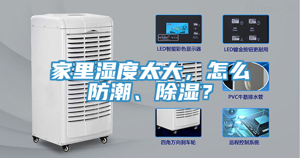 家里濕度太大，怎么防潮、除濕？