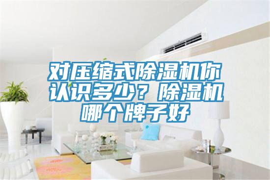 對(duì)壓縮式除濕機(jī)你認(rèn)識(shí)多少？除濕機(jī)哪個(gè)牌子好