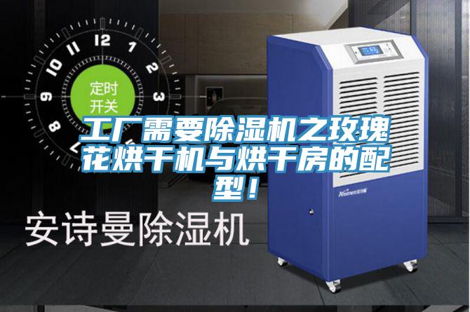 工廠需要除濕機之玫瑰花烘干機與烘干房的配型！