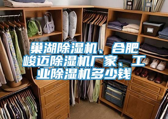 巢湖除濕機、合肥峻邁除濕機廠家、工業(yè)除濕機多少錢