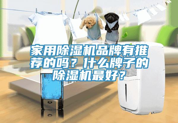 家用除濕機(jī)品牌有推薦的嗎？什么牌子的除濕機(jī)最好？
