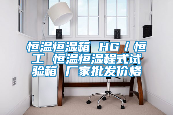 恒溫恒濕箱 HG／恒工 恒溫恒濕程式試驗(yàn)箱 廠家批發(fā)價格