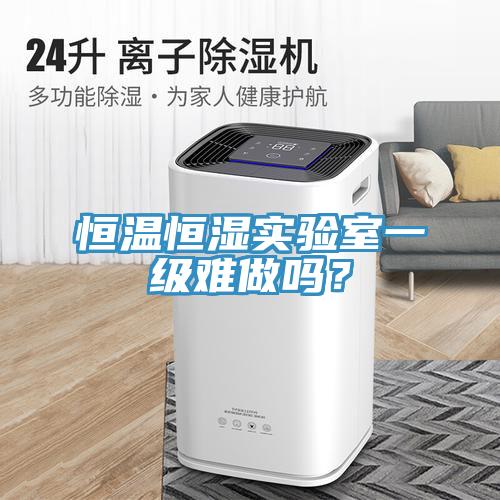 恒溫恒濕實驗室一級難做嗎？