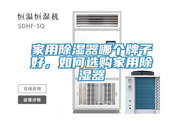 家用除濕器哪個牌子好，如何選購家用除濕器