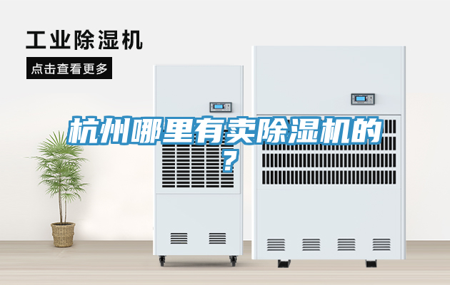 杭州哪里有賣(mài)除濕機(jī)的？