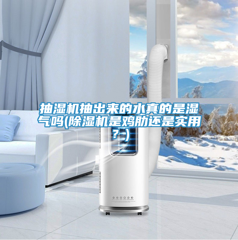 抽濕機(jī)抽出來的水真的是濕氣嗎(除濕機(jī)是雞肋還是實用？)