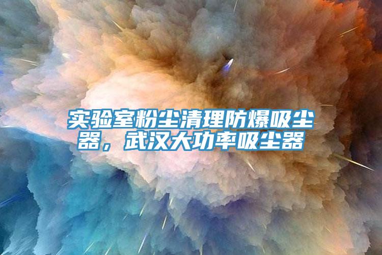 實(shí)驗(yàn)室粉塵清理防爆吸塵器，武漢大功率吸塵器