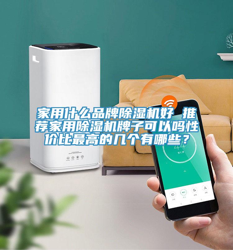 家用什么品牌除濕機(jī)好 推薦家用除濕機(jī)牌子可以嗎性價(jià)比最高的幾個(gè)有哪些？