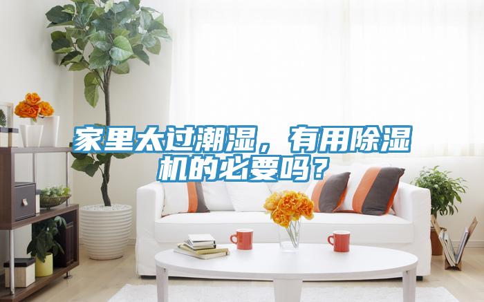 家里太過潮濕，有用除濕機(jī)的必要嗎？