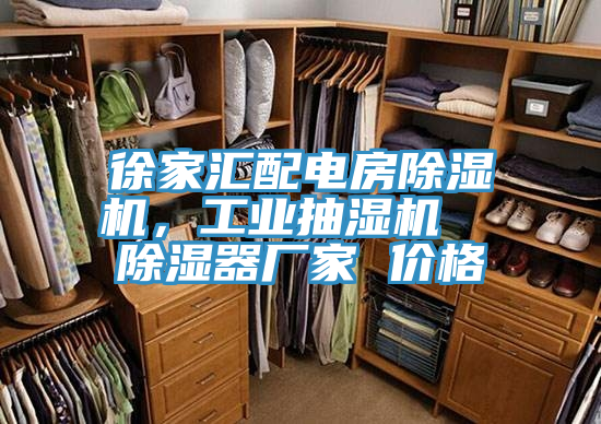 徐家匯配電房除濕機(jī)，工業(yè)抽濕機(jī)  除濕器廠家 價(jià)格