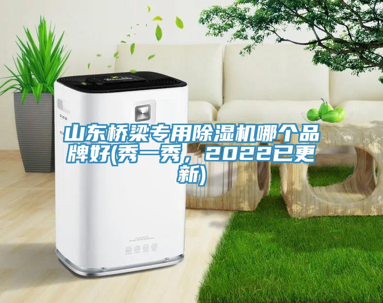 山東橋梁專用除濕機(jī)哪個(gè)品牌好(秀一秀，2022已更新)