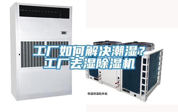 工廠如何解決潮濕？工廠去濕除濕機