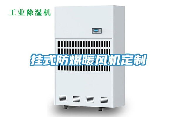 掛式防爆暖風(fēng)機定制