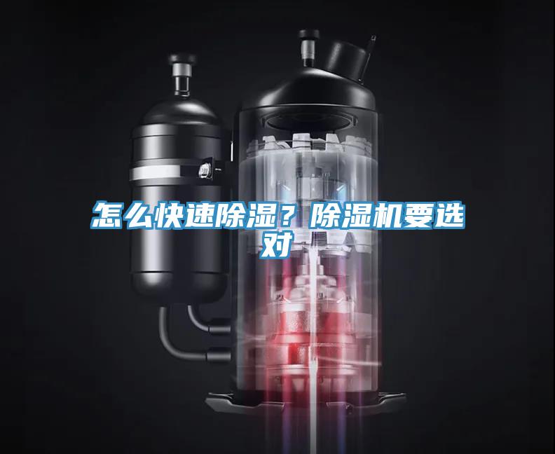 怎么快速除濕？除濕機(jī)要選對