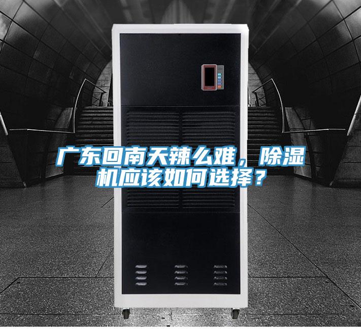 廣東回南天辣么難，除濕機(jī)應(yīng)該如何選擇？