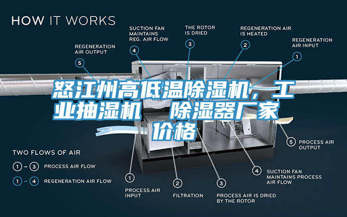 怒江州高低溫除濕機(jī)，工業(yè)抽濕機(jī)  除濕器廠家 價格