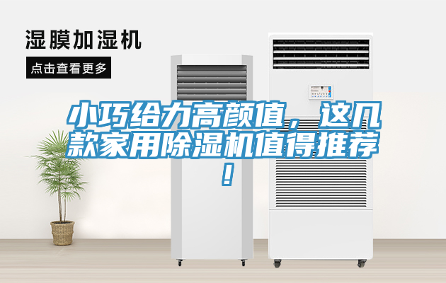 小巧給力高顏值，這幾款家用除濕機(jī)值得推薦！