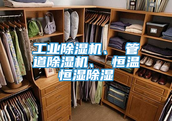 工業(yè)除濕機(jī)、 管道除濕機(jī)、 恒溫恒濕除濕