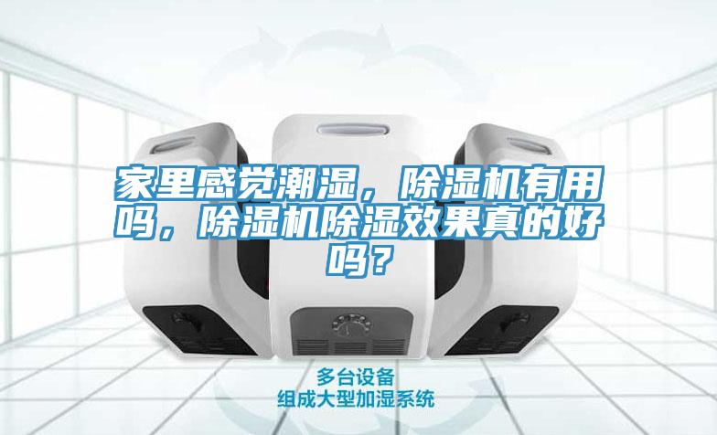 家里感覺潮濕，除濕機有用嗎，除濕機除濕效果真的好嗎？