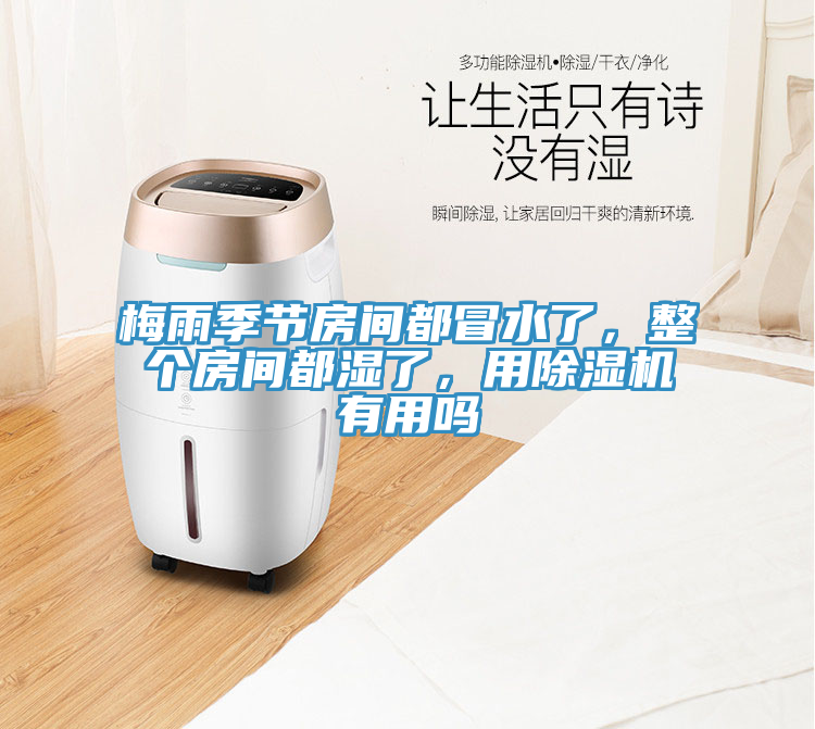 梅雨季節(jié)房間都冒水了，整個房間都濕了，用除濕機有用嗎