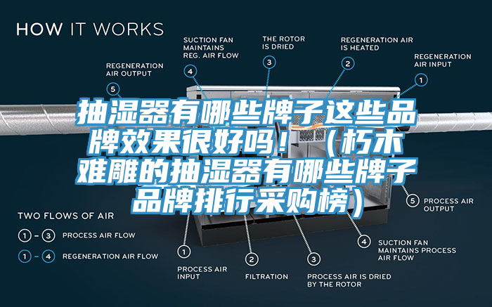 抽濕器有哪些牌子這些品牌效果很好嗎?。ㄐ嗄倦y雕的抽濕器有哪些牌子品牌排行采購榜）
