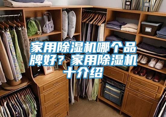 家用除濕機(jī)哪個(gè)品牌好？家用除濕機(jī)十介紹
