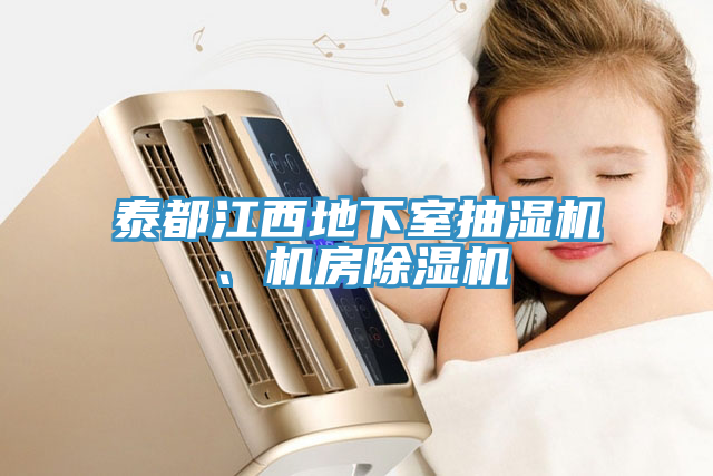 泰都江西地下室抽濕機、機房除濕機