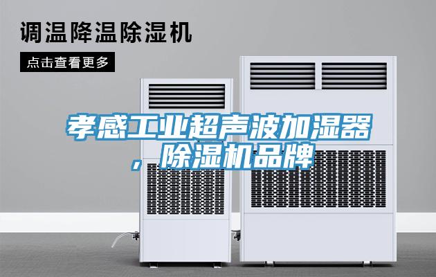 孝感工業(yè)超聲波加濕器，除濕機品牌