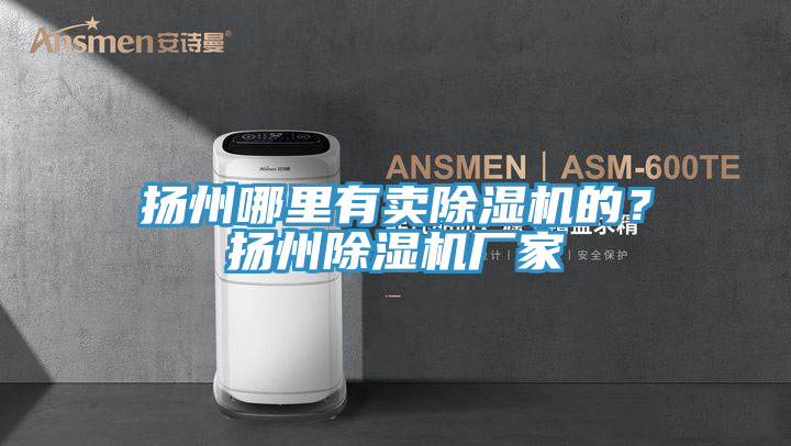 揚州哪里有賣除濕機的？揚州除濕機廠家