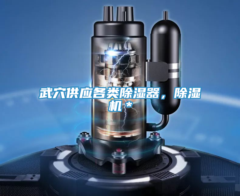 武穴供應(yīng)各類除濕器，除濕機(jī)＊