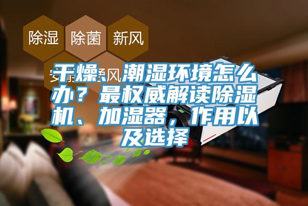 干燥、潮濕環(huán)境怎么辦？最權(quán)威解讀除濕機、加濕器，作用以及選擇
