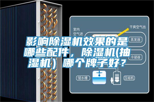 影響除濕機(jī)效果的是哪些配件，除濕機(jī)(抽濕機(jī)）哪個(gè)牌子好？