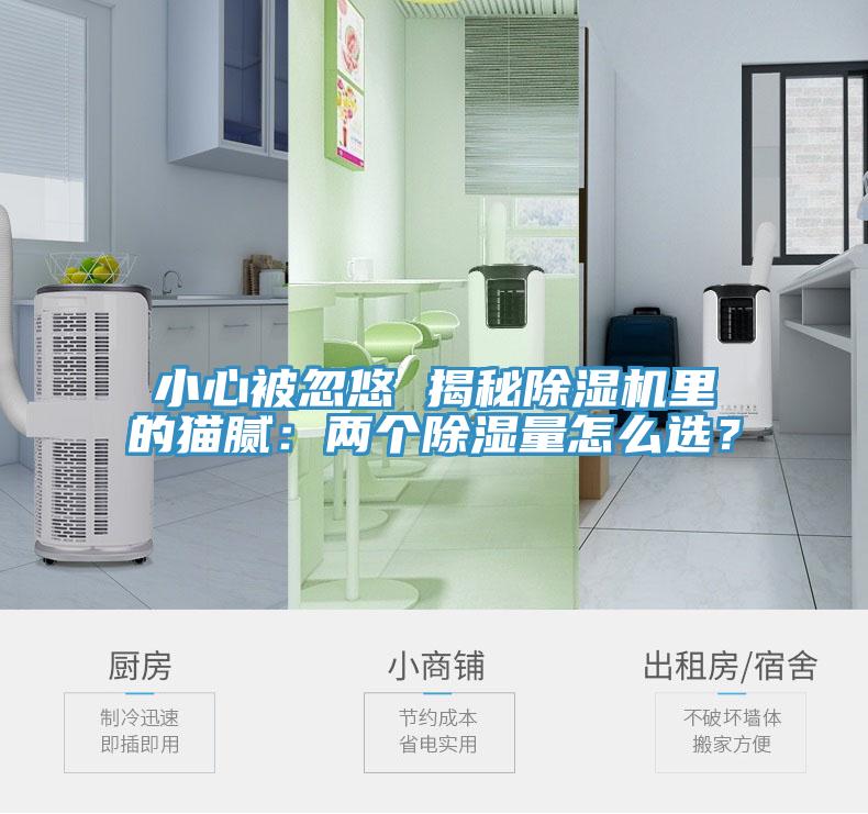 小心被忽悠 揭秘除濕機(jī)里的貓膩：兩個(gè)除濕量怎么選？