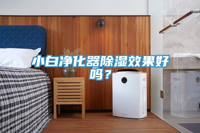 小白凈化器除濕效果好嗎？